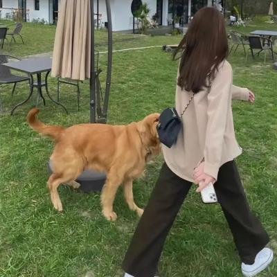 我要是有了枪